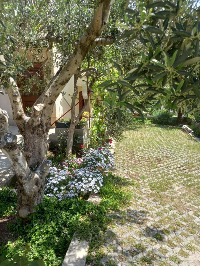 Apartments Sunag شيبينيك المظهر الخارجي الصورة