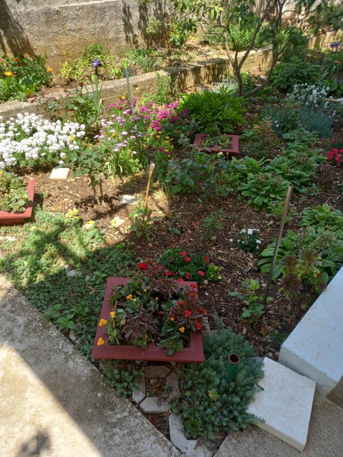 Apartments Sunag شيبينيك المظهر الخارجي الصورة